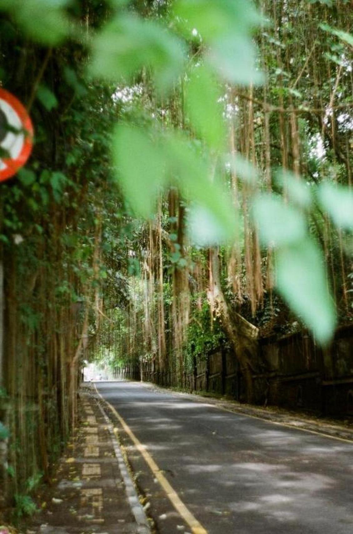 Rumma Lanna By Betterplace Ubud (Bali)